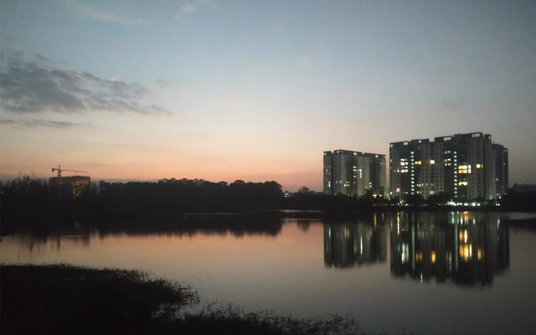 Bengaluru Bird Day Lakes