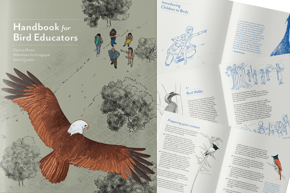 Handbook for Educators: Beyond ‘watching’ birds