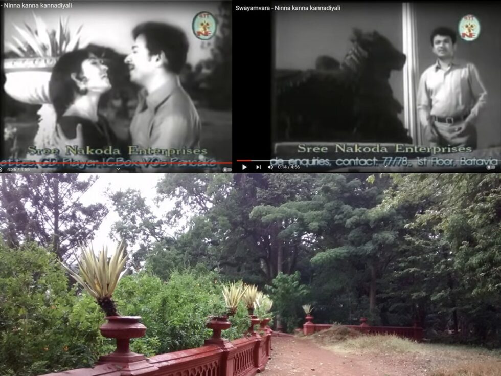 Wildlife habitats then and now Glimpses from old Kannada movies