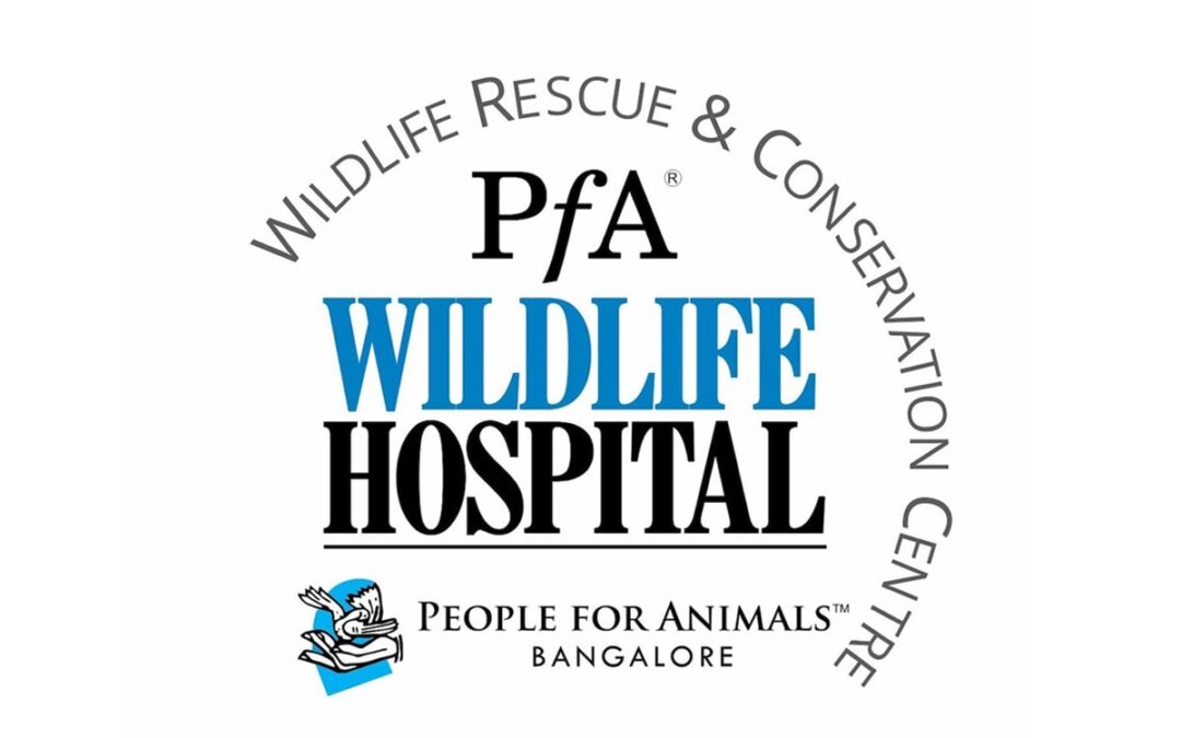 PfA Wildlife Hospital